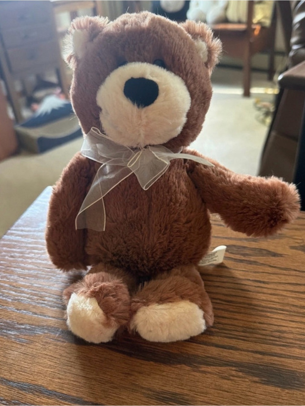 Burton Brown and Cream Plush Teddy Bear with Sheer Bow